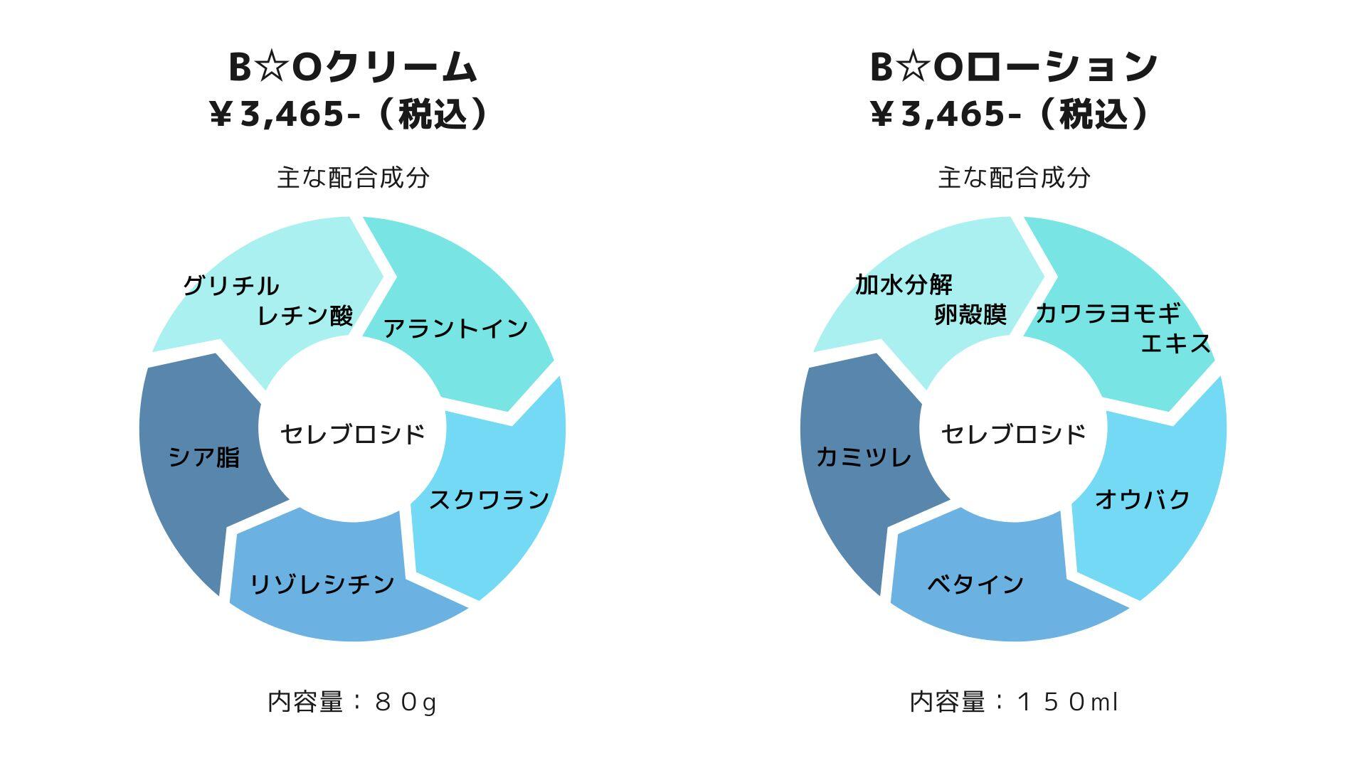 青 タイムラインサイクル プレゼンテーション.jpg