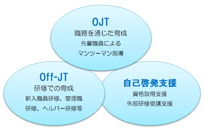 教育研修制度の図